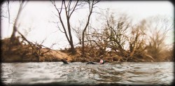 118_2011_ww