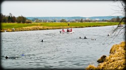 129_2011_ww