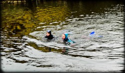 183_2011_ww