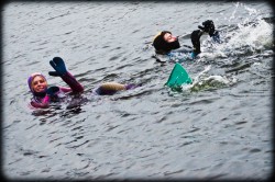 184_2011_ww