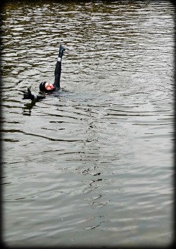 210_2011_ww