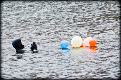 214_2011_ww