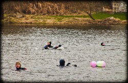 216_2011_ww