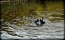 223_2011_ww
