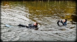 224_2011_ww