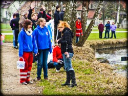 252_2011_ww