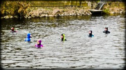 253_2011_ww
