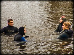 254_2011_ww