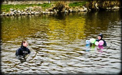 273_2011_ww