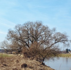 071_2012_ww