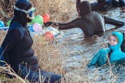 085_2012_ww