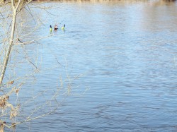 113_2012_ww