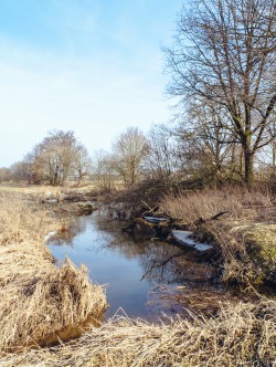 119_2012_ww