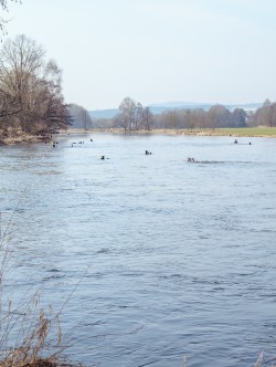 120_2012_ww