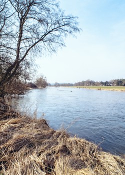121_2012_ww