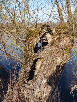 123_2012_ww