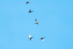 139_2012_ww