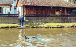 160_2012_ww