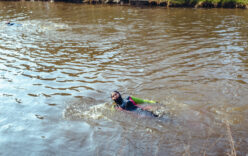 161_2012_ww