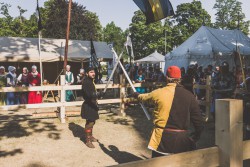 abf2015_013