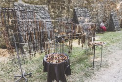 abf2015_041