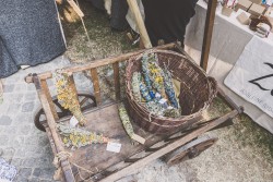 abf2015_044