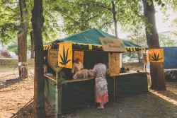 abf2015_065