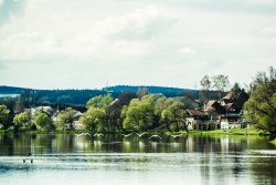 schwaene-nittenau-regen-43