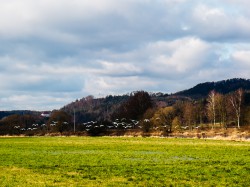 schwaene-nittenau-regen-2