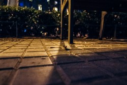 barcelona-67