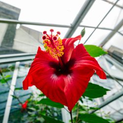 p1100226