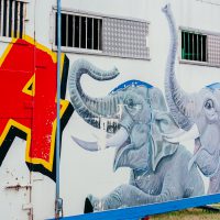 Demonstration Cham – Tiere gehören nicht zum Circus